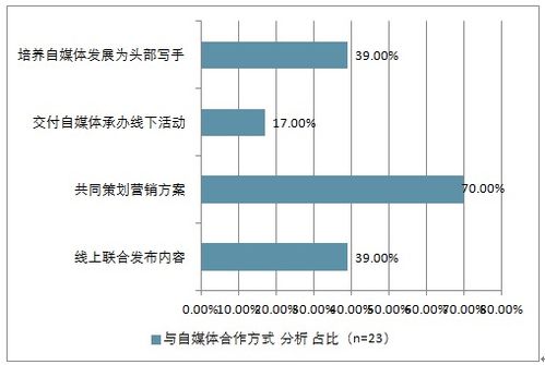 阁楼攀岩设计方案[阁楼攀岩设计方案及流程]